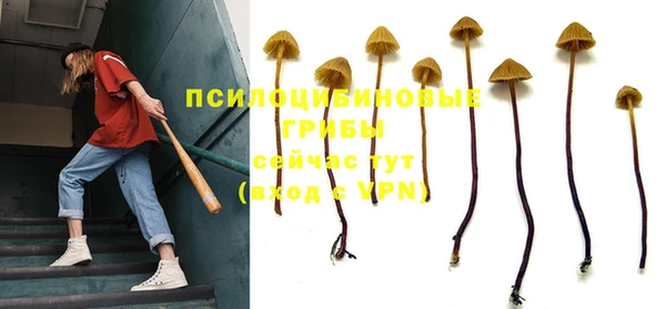 тгк Протвино