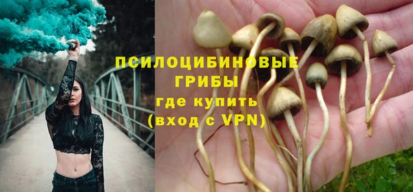 эйфоретик Пролетарск