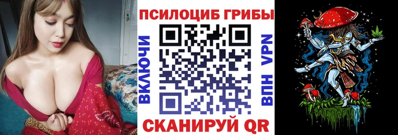 кракен tor  Саров  Галлюциногенные грибы Cubensis  наркота 