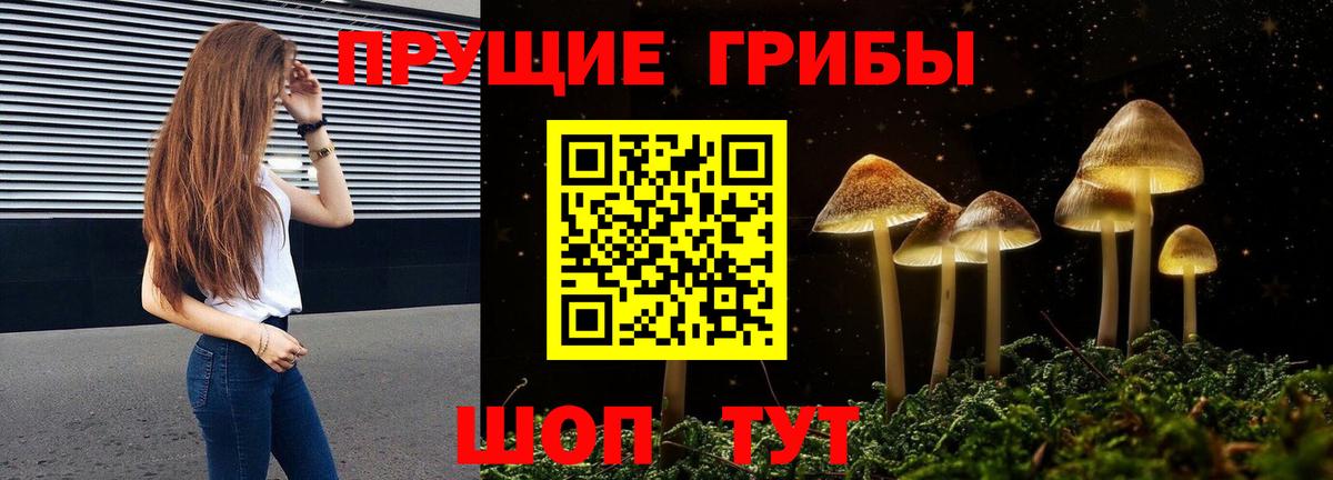 Галлюциногенные грибы Psilocybine cubensis Саров
