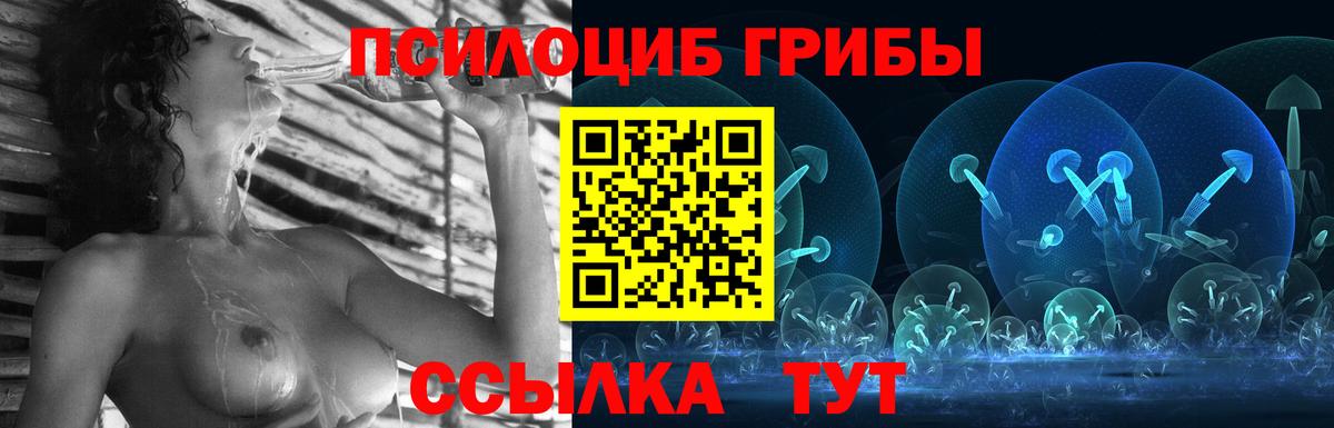 Саров  Галлюциногенные грибы GOLDEN TEACHER  Вход с VPN 
